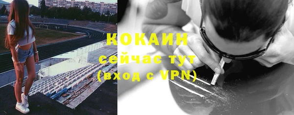 гидропоника Гусев