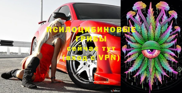 шишки Дмитриев