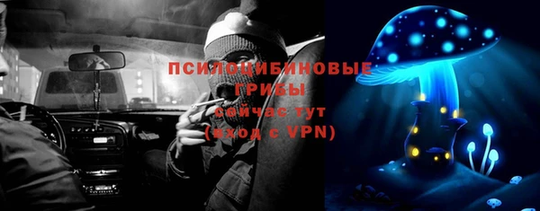 шишки Дмитриев