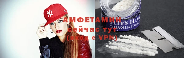 шишки Дмитриев