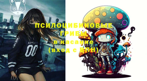 стафф Дмитровск