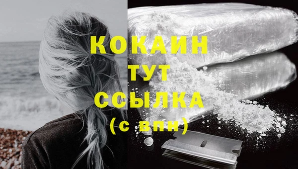 стафф Дмитровск