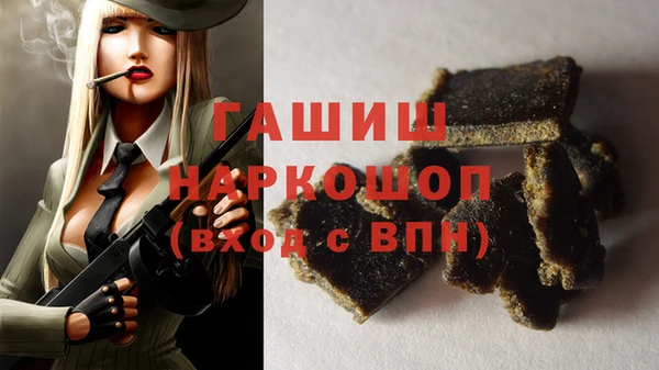 шишки Дмитриев