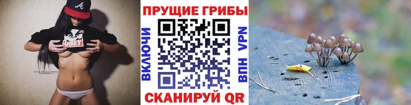 магазин продажи наркотиков  Пересвет  Псилоцибиновые грибы Magic Shrooms 